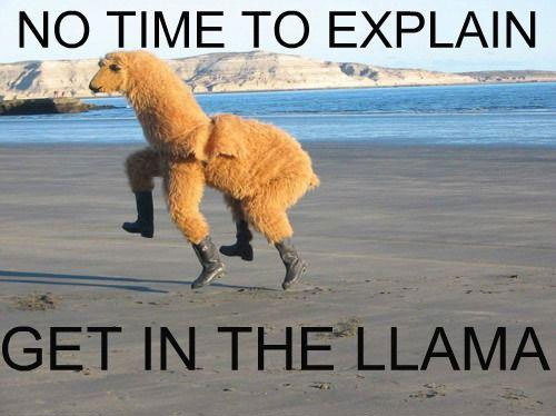 No time to explain! Get in the llama