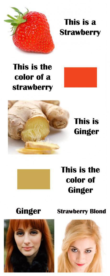 This is a strawberry. This is ginger. This is the colour of ginger. Gignger. Strawberry Blonde.