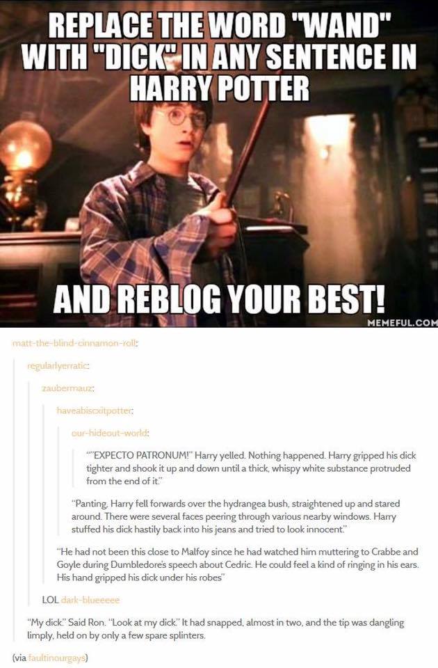 Replace the word “wand” with “dick” in any sentence in Harry Potter…