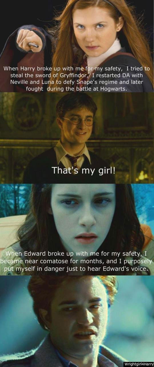 Girlfriends: Harry Potter versus Twilight.