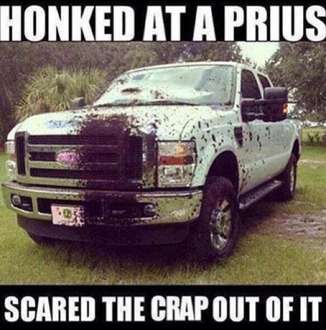 Honked at a Prius, scared the crap out of it