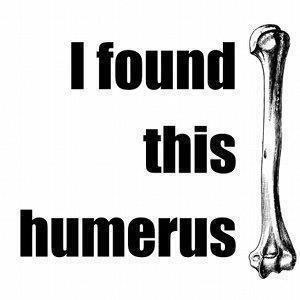 [picture of bone] I found this humerus