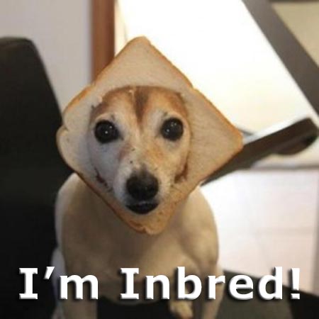 I’m Inbred!