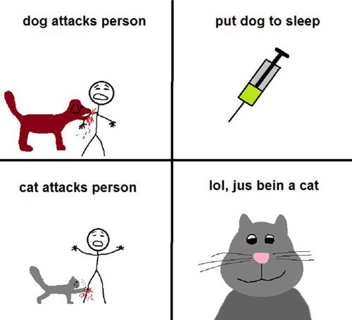 Dog attacks person. Put dog to sleep. Cat attacks person. LOL, jus’ bein’ a cat.
