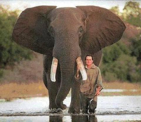 Man & Elephant