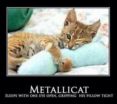 Mettalicat: Sleeps with one eye open, gripping his pillow tight