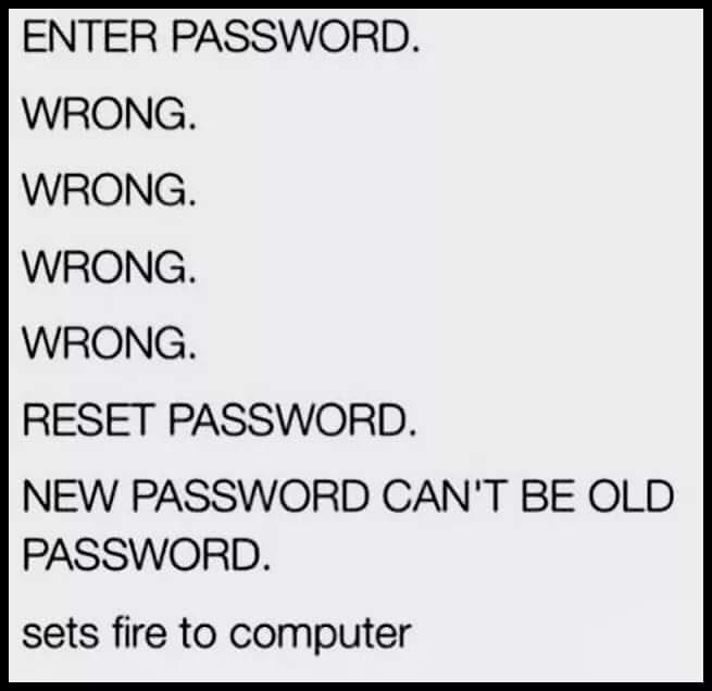 Enter password. Wrong. Wrong. Wrong. Wrong. Reset Password. New Password Can’t Be Old Password. Sets fire to computer.