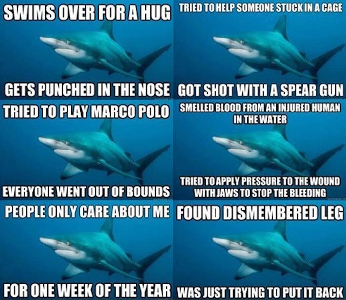 Misunderstood Sharks