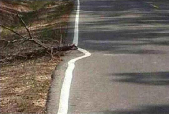 The Winner of the “Not My Job” Award goes to…