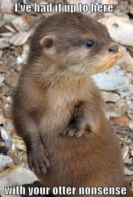 I’ve had it up to here with your otter nonsense.