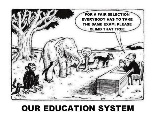 [To an assorted group of animals] Our Education System: For a fair selection everybody has to take the same exam: Please climb that tree