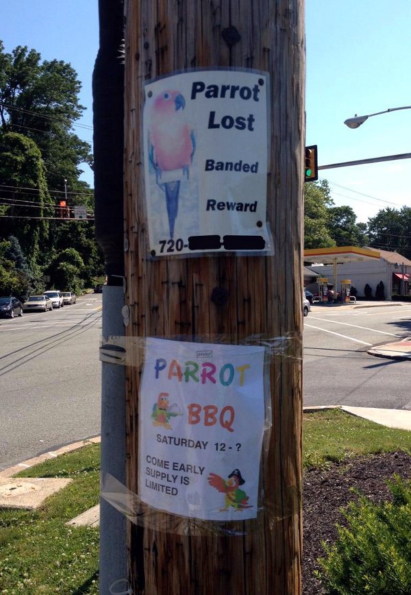 Parrot Lost: Parrot BBQ!