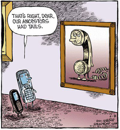 That’s right dear, our ancestors had tails.