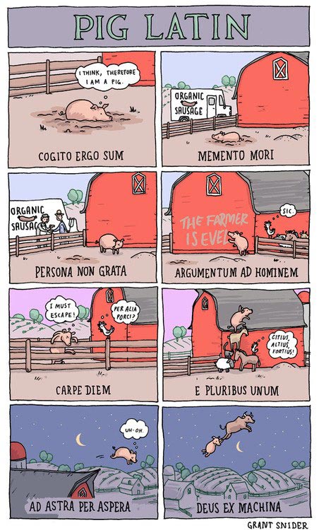 Pig Latin by Grant Snider