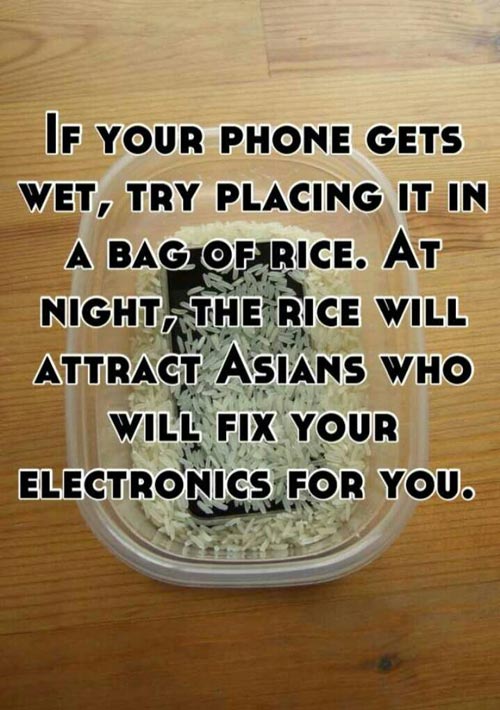 If your phone gets wet, try placing it in a bag of rice. At night, the rice will attract Asians who will fix your electronics for you.