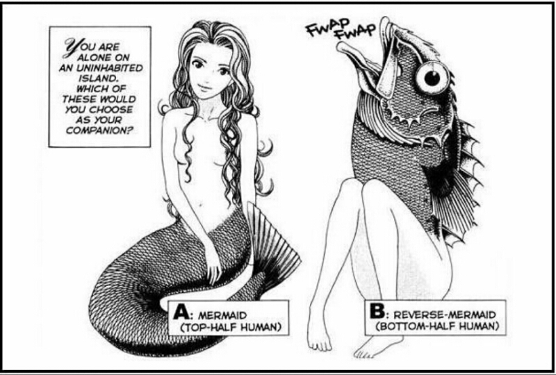 You are alone on an uninhabited island. Which of these would you choose as your companion? A: Mermaid (top half human); B: Reverse-mermaid (bottom half human)