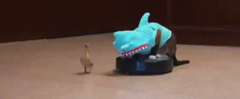 Robot Vacuum Cat Shark Duck Chase