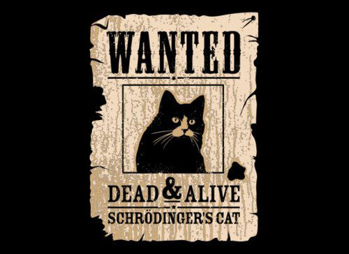 Wanted: Dead & Alive… Schrödinger’s Cat