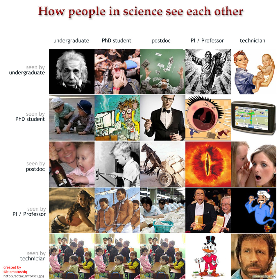 How people in science see each other