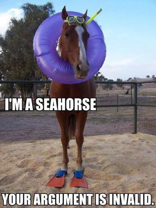 I’m a seahorse. Your argument is invalid.