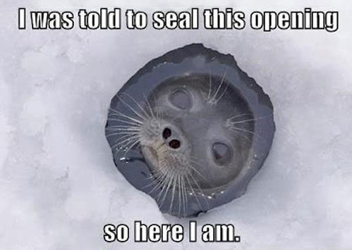 I was told to seal this opening, so here I am.