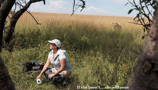 A western woman in Africa—presumably a tourist—squats to go to the toilet in the bush, pants down, toilet paper in hand, her backpack in the grass nearby; unaware a lion is sneaking up behind her. Captioned “if she hasn’t… she will soon”