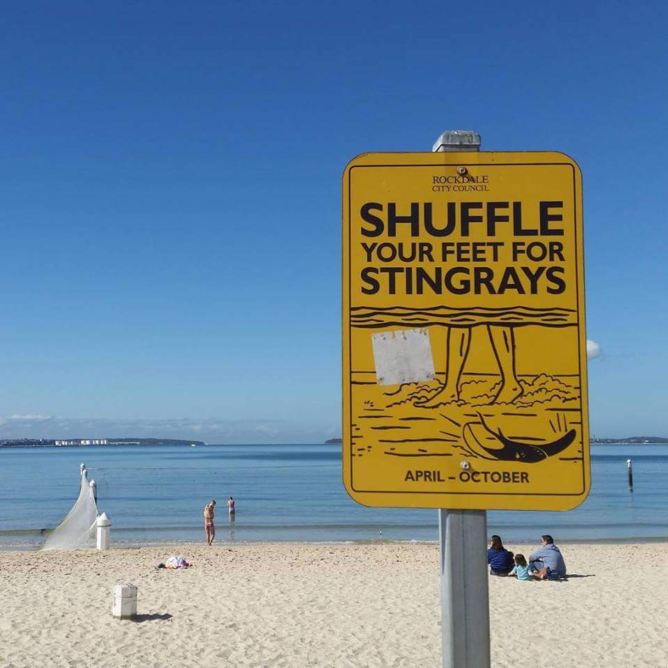 Shuffle your feet for Stingrays: One of the many dangers in Australian waters