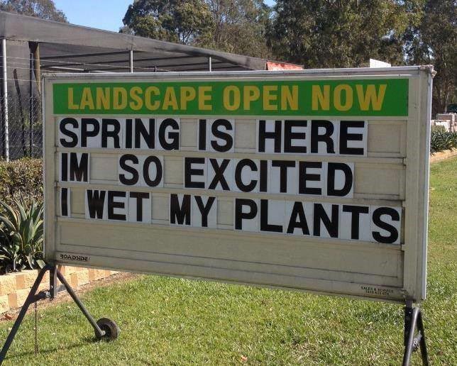 Spring is here. I’m so excited I wet my plants!