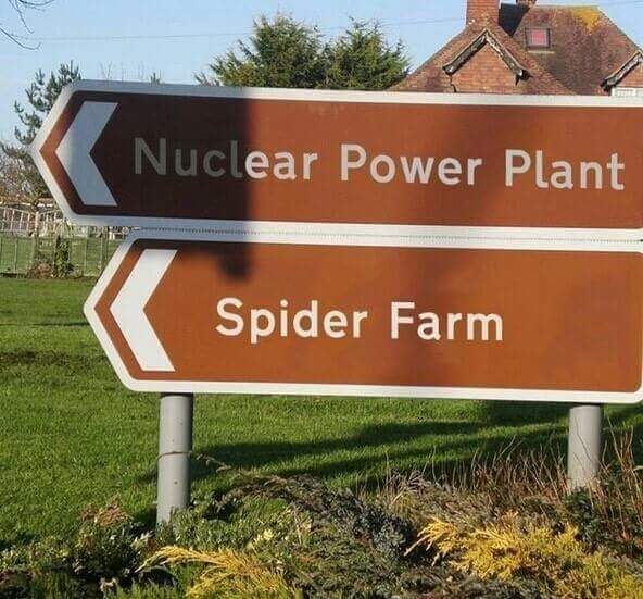 Nuclear Power Plant. Spider Farm. This seems like a disaster waiting to happen…