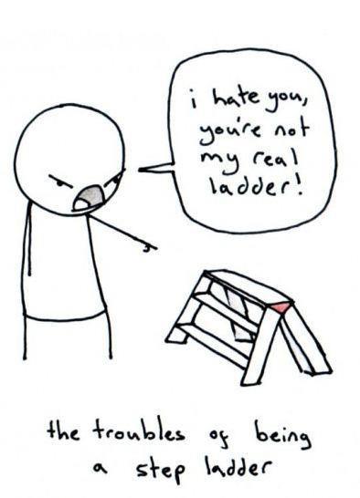 I hate you, you’re not my real ladder!