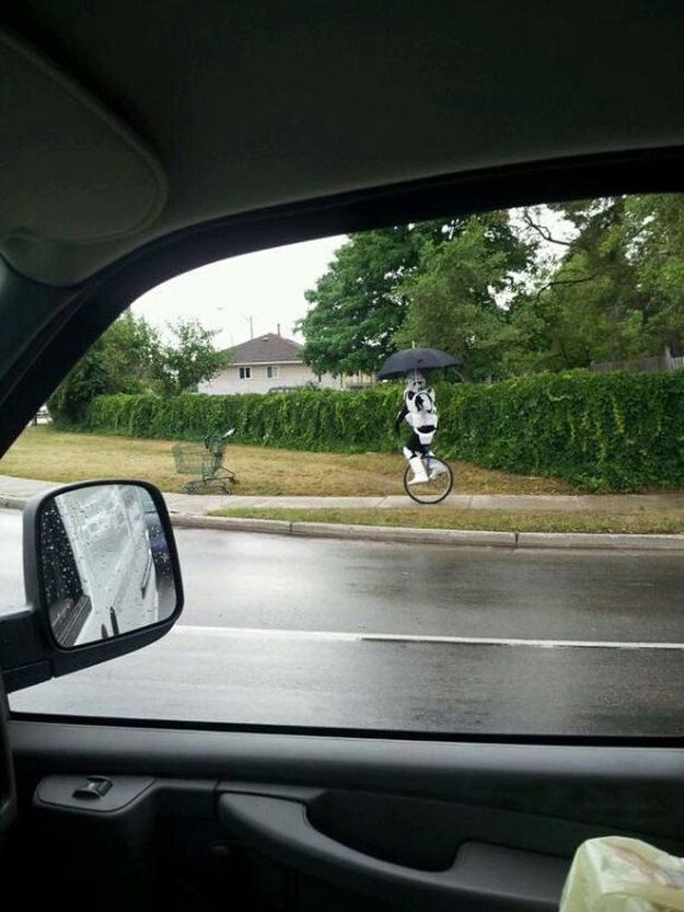 Stormtroopers unicycling in the rain.