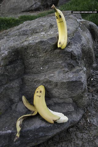 Suicidal Bananas