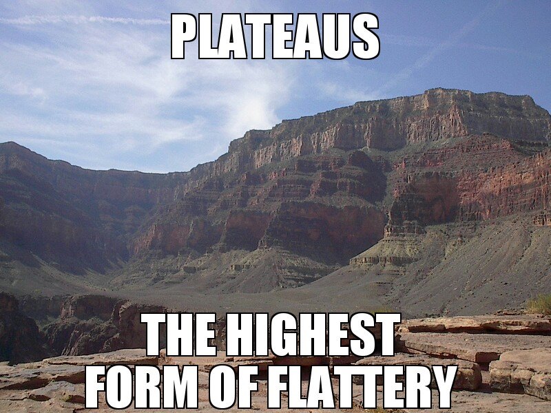 Plateaus - The highest form of flattery