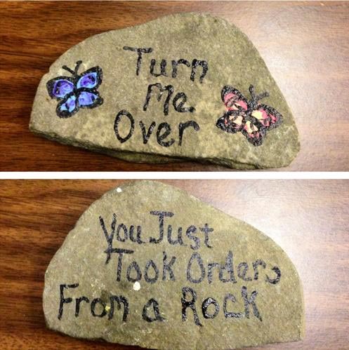 [On a rock] Turn me over. You just took orders from a rock.