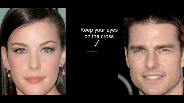 Optical illusion: Keep your eyes on the cross, and see what happens.