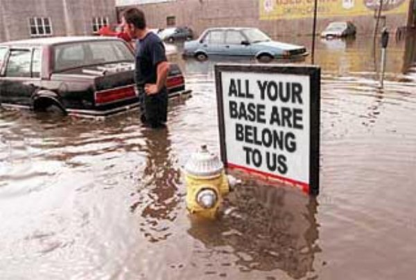 Flooded area with cars and sign reading "All your base are belong to us"