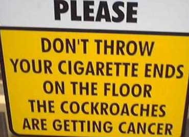 Cockroach Cancer