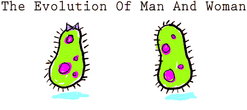 The Evolution of Man and Woman
