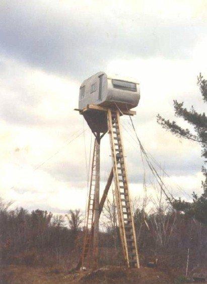 Image of a caravan or trailer van perched in a tree-top