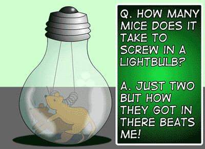 Two mice having sex inside a lightbulb