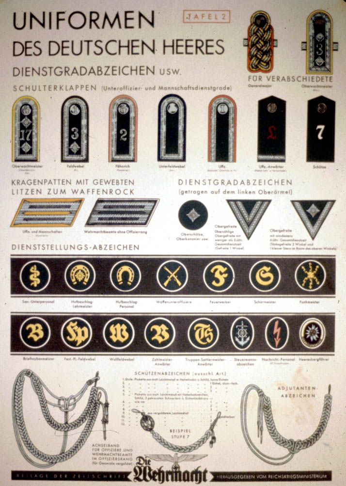 A uniform chart with depictions of epaulets, badges, and other uniform parts (1)