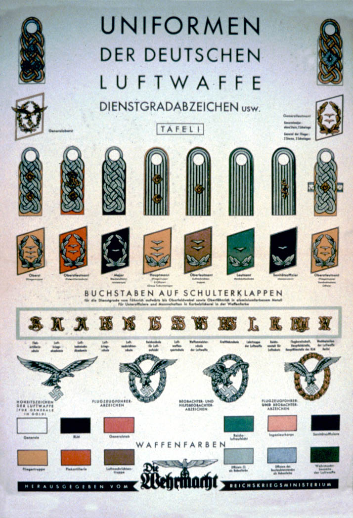 A uniform chart with depictions of epaulets, badges, and other uniform parts (2)