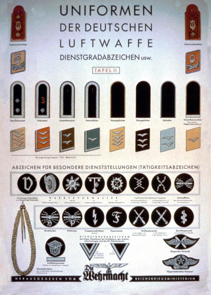 A uniform chart with depictions of epaulets, badges, and other uniform parts (3)