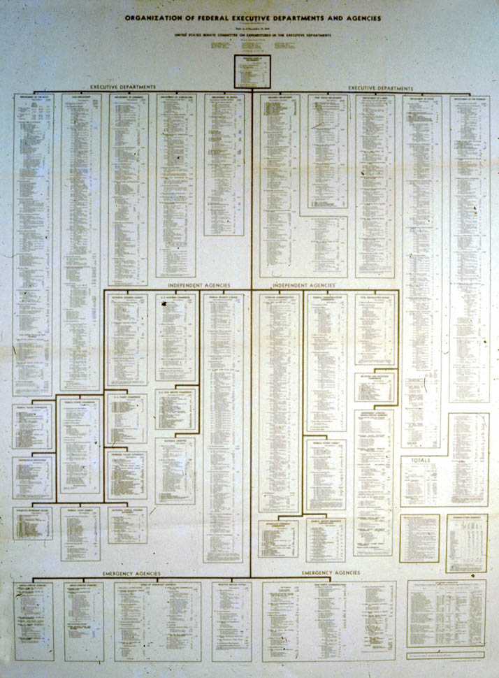 Branching diagram over a white background