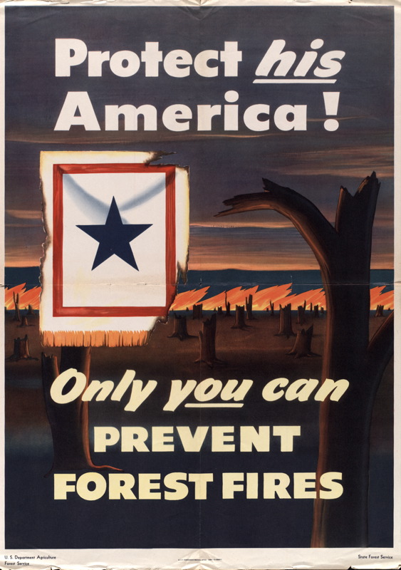 Protect his America! Only you can prevent forest fires (U.S. Department Agriculture, Forest Service)