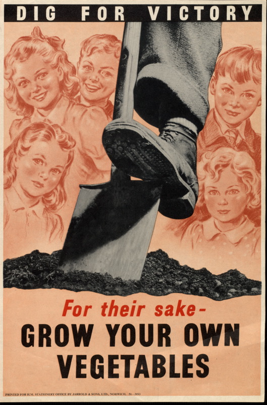 Dig For Victory For Their Sake Grow Your Own Vegetables